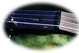 stealth banjo - 5th string emerges behind the nut
